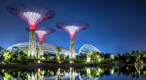 Gardens by the Bay