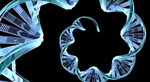 Анализ ДНК позволяет прочесть историю жизни человека