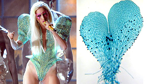 Леди Гага на церемонии вручения «Грэмми» в 2010 году и названный в честь нее папоротник в фазе гаметофита