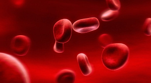 Человек получил разные группы крови от бактерий