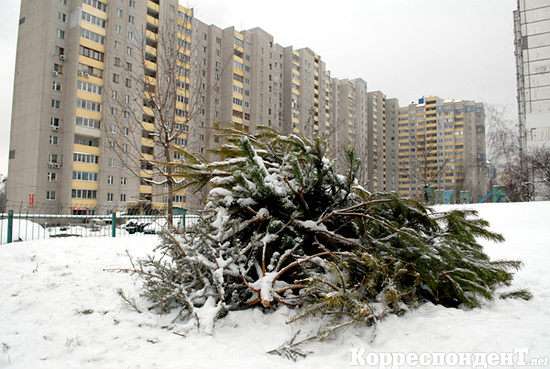 Киев парализован снегопадом (20 фото)