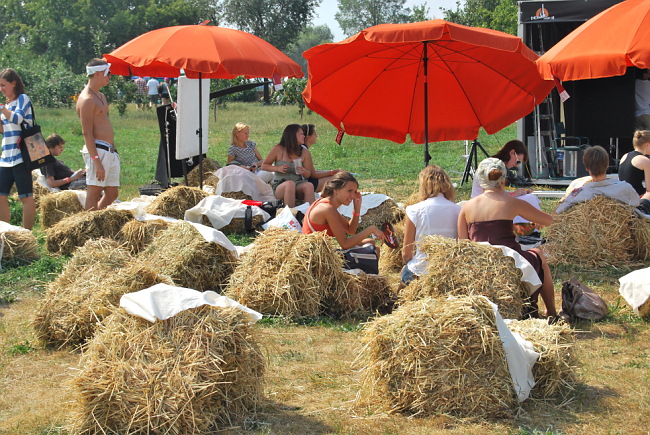 Пикник «Афиши» 2010