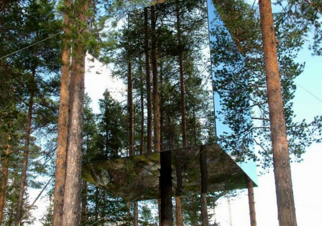Шведский отель на деревьях