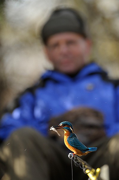 European Wildlife Photographer 2010