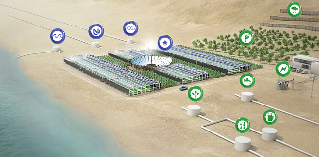 Sahara Forest Project: лес в пустыне