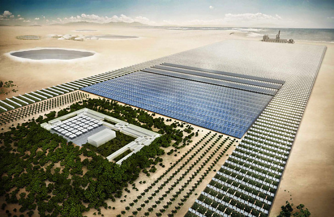 Sahara Forest Project: лес в пустыне