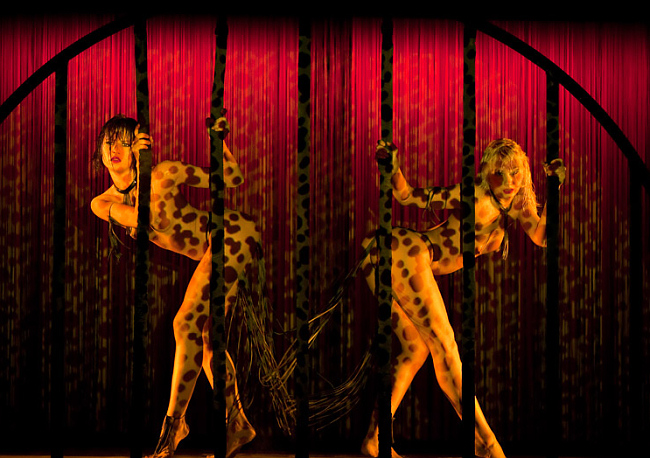 Эротическое кабаре Crazy Horse