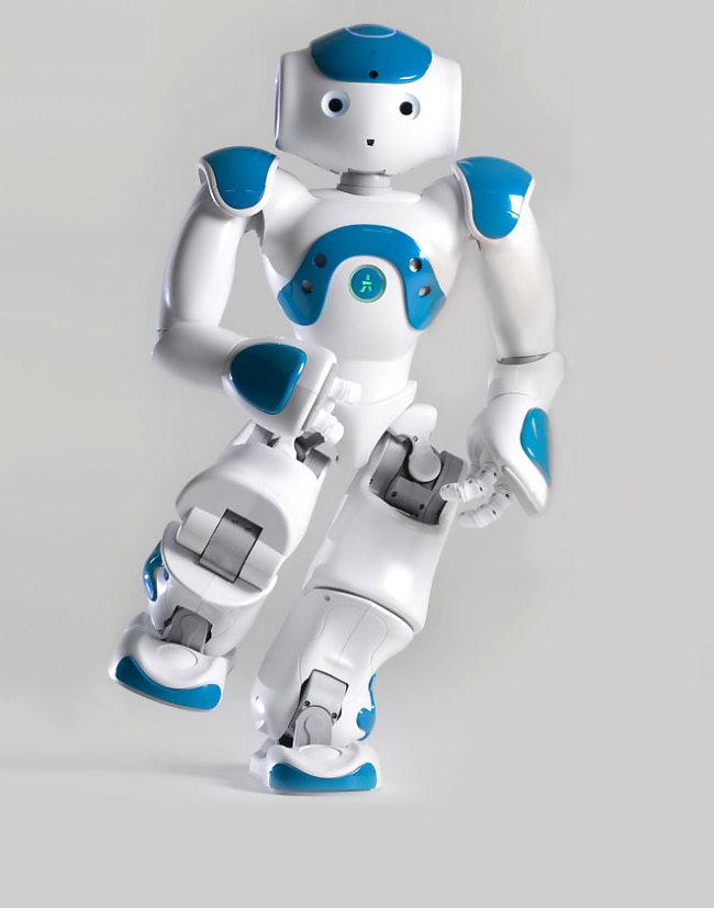 NAO Next Gen