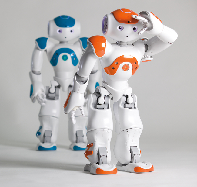 NAO Next Gen