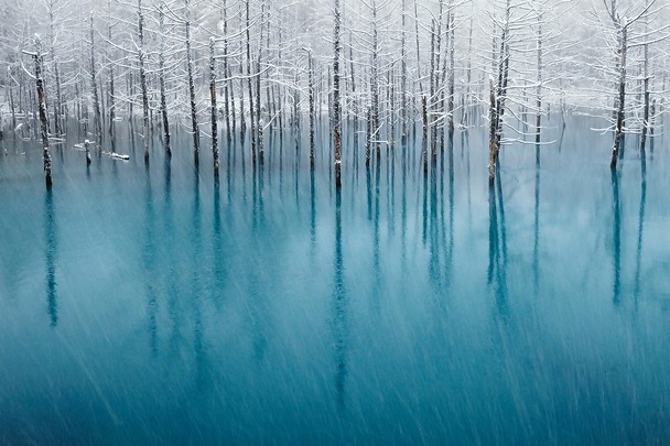 National Geographic 2011
